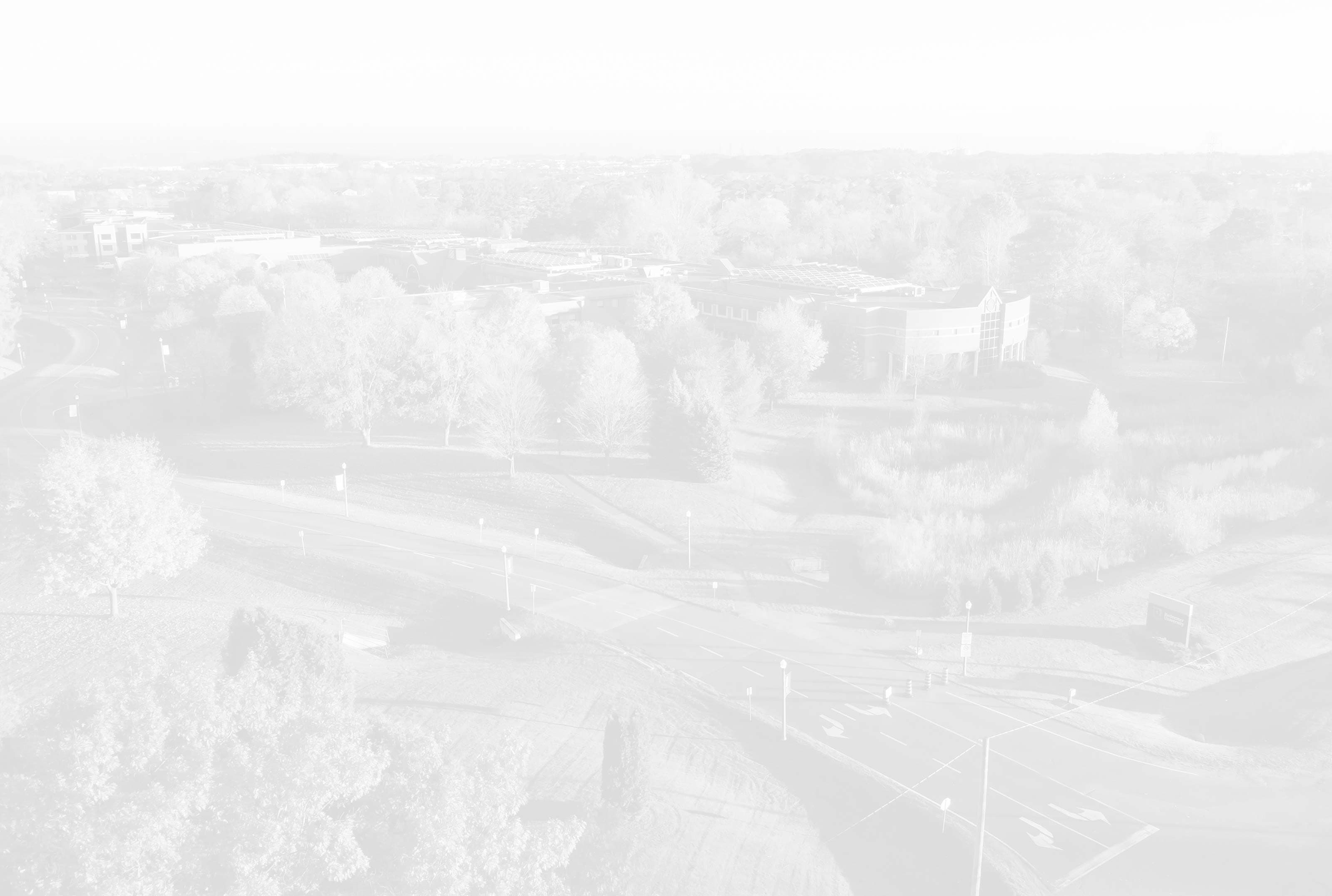 Professional walking in office corridor